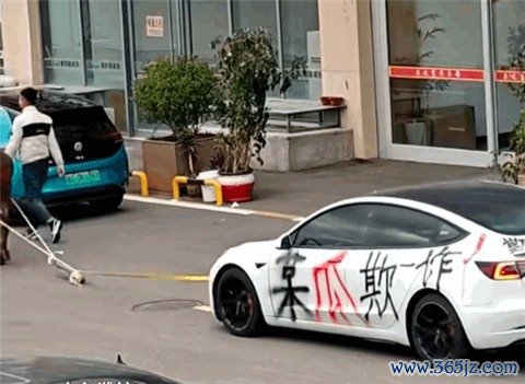 9.9万买的二手特斯拉无法充电 